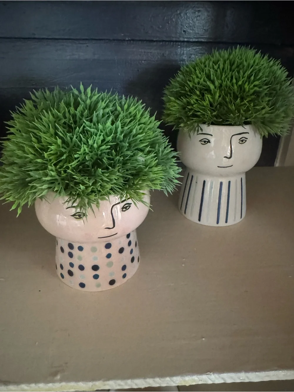 Face People Cat Dog Planter Set from Target